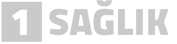 Sağlık 1