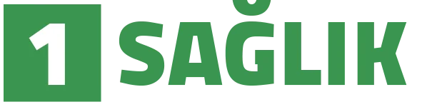Sağlık 1